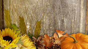 Fall Harvest Background, , Fall Harvest . HD wallpaper