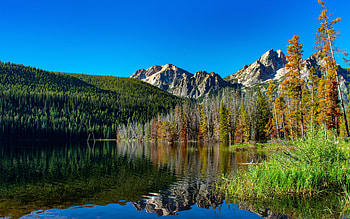 Morning reflections at Stanley Lake, Idaho, landscape, trees, sky, mountains, usa HD wallpaper