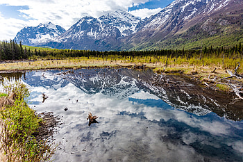 Moving to Alaska, things to know, Alaska travels, relocation tips HD wallpaper