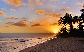 Ewa Beach Sunset - Oahu Hawaii, sky, sun, sea, palms, clouds, colors HD wallpaper
