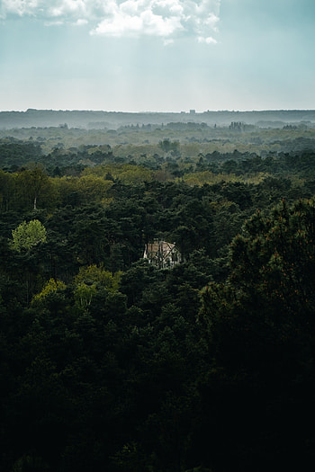 Nature, Trees, View From Above, Forest, House, Lonely, Alone HD phone wallpaper