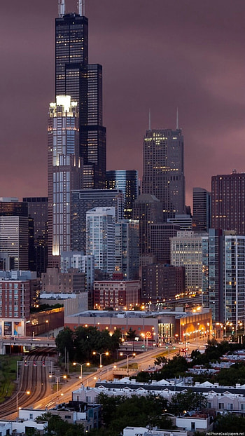 tree night chicago 6 HD phone wallpaper