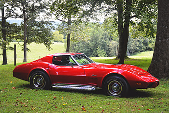 Cars, Forest, Car, Side View, Style, Retro HD wallpaper
