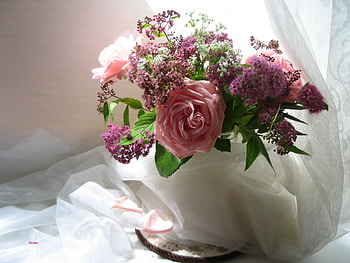 still life, bouquet, gentle, graphy, roses, vase, beautiful, nice, elegant, rose, flower, cool, flowers, , harmony HD wallpaper