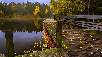 Beautiful Scenery Wood Dock Yellow Green Autumn Leaves Trees Forest Reflection On Lake Nature HD wallpaper