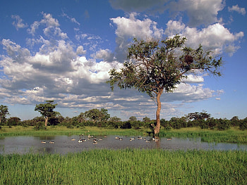 Landscape, Rivers, Trees, Sky HD wallpaper