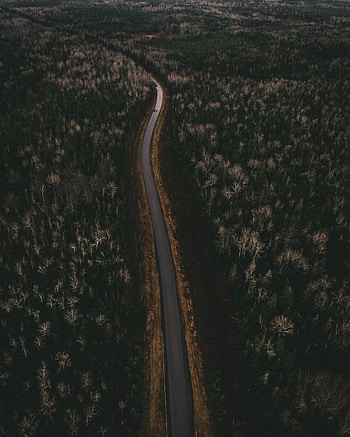 Nature, Trees, View From Above, Road, Turn HD phone wallpaper