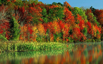 Landscape, Rivers, Trees, Autumn HD wallpaper