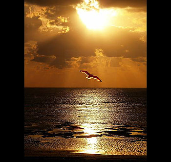 sunset , hot, nature, water, reflections, sunset HD wallpaper
