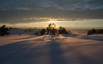 Landscape, Winter, Sunset HD wallpaper