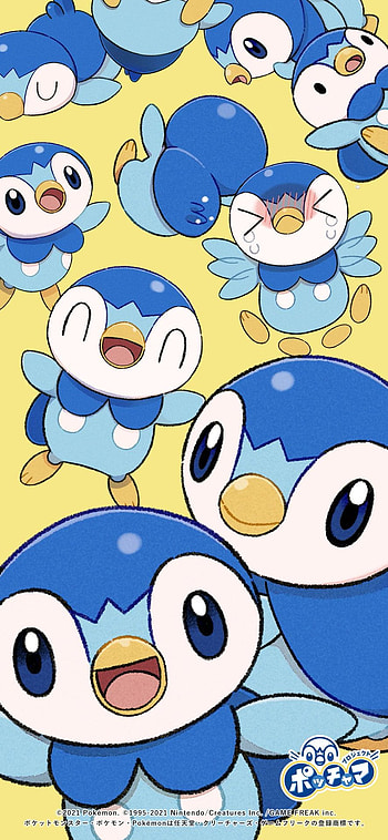 Piplup, blue, Penguin HD phone wallpaper