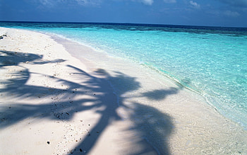 Landscape, Sea, Beach HD wallpaper