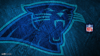 carolina panthers HD wallpaper