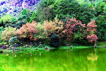Lush autumnal scene with vibrant foliage reflecting in a calm lake. HD wallpaper