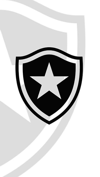 Botafogo, futebol HD phone wallpaper