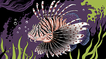 Stunning Lionfish in Ultra, lionfish, underwater, marine life, illustration, ocean HD wallpaper