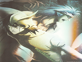ulquiorra,grimmjow, grimmjow, ulquiorra, bleach, anime HD wallpaper