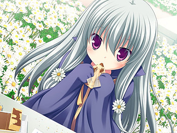 Margaret, anime girl, anime, flower, green, marguerite sphere HD wallpaper