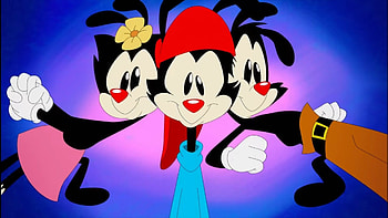Animaniacs, Cartoon , Wakko character HD wallpaper