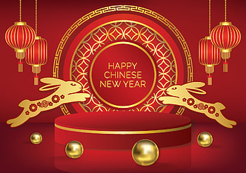 Year of the rabbit, holiday, Chinese New Year HD wallpaper