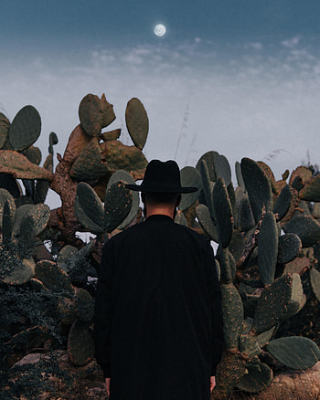 Cactuses, Moon, Miscellanea, Miscellaneous, Man, Loneliness, Hat HD phone wallpaper