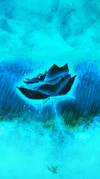 Rose storm, blue, rose, artistic, flower HD phone wallpaper