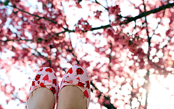 Miscellanea, Miscellaneous, Wood, Legs, Tree, Branches, Positive, Slippers HD wallpaper