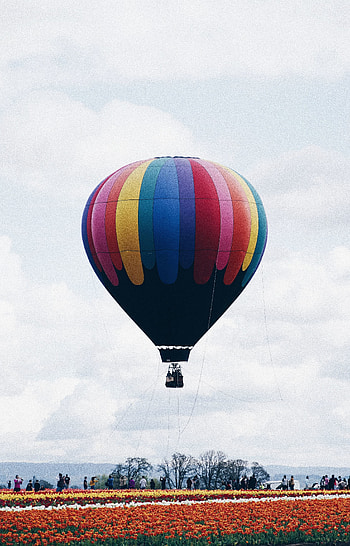 Flight, hot air balloon HD phone wallpaper