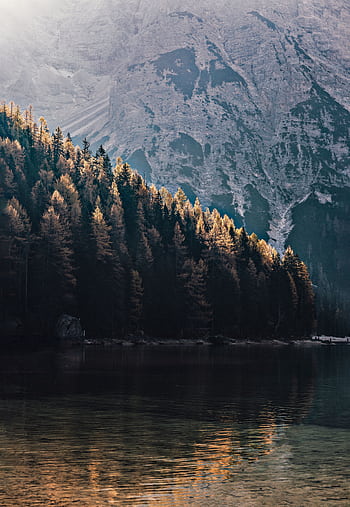 A tranquil mountain lake reflects an autumn forest under majestic peaks. HD phone wallpaper