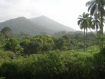 Equatorial Guinea, Conakry, Ultimate guide, Travels HD wallpaper