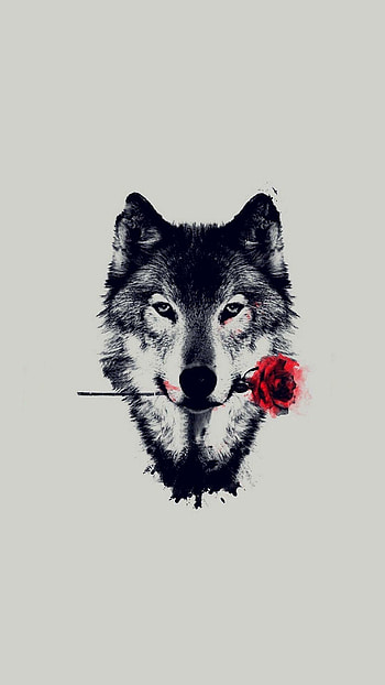 Wolf drawing art, Detailed sketch, Exquisite lines, Artistic expression HD phone wallpaper