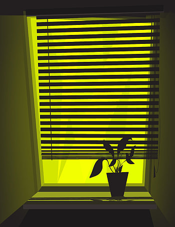 Art, Vector, Plant, Window, Jalousie, Home Plant, Homemade Plant HD phone wallpaper