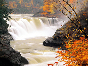 Nature, Autumn, Leaves, Waterfall, Flow HD wallpaper