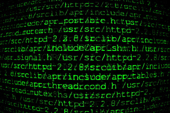 WP-46: Animated Matrix Windows 10, Matrix Windows 10 . HD wallpaper