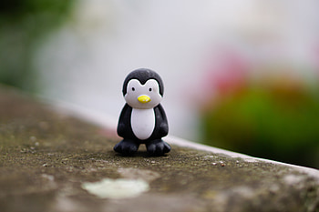 Miscellanea, Miscellaneous, Toy, Figurine, Penguin HD wallpaper