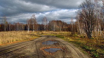 Nature, Road, Forest, Country, Puddles, Countryside, Withering HD wallpaper