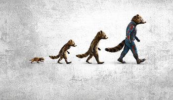 Rocket Evolution — Guardians of the Galaxy Vol. 3 Ultra, Guardians of the Galaxy Vol. 3 HD wallpaper