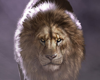 Zodiac ~ Leo, leu, shady cury, zodiac, fantasy, luminos, lion HD wallpaper
