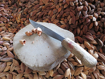 Discovery, Nutty exploration, Untapped potential, Culinary delights HD wallpaper