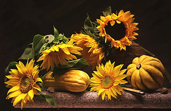Still life with Sunflowers, Flowers, Sunflowers, Harvest, Pumpkin HD wallpaper