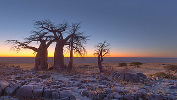 Makgadikgadi Pan, Mesmerizing landscapes, Natural wonder, Panoramic beauty HD wallpaper