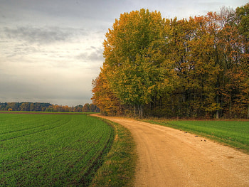 Landscape, Trees, Roads HD wallpaper