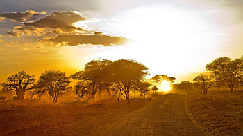 Africa, Beautiful , Nature's wonders HD wallpaper
