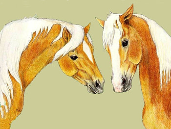 Friends forever, horses, love, beautiful, friendship, always, friends, forever HD wallpaper