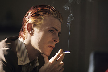 David Bowie , collection, gallery, Music inspiration HD wallpaper