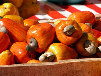 Cashew Nuts, Nut , Natural beauty, Aesthetic appeal HD wallpaper