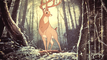 Bambi court case, Curious ruling, Unusual punishment, Strange news HD wallpaper