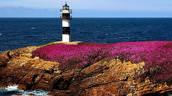 Illa Pancha, Lighthouses HD wallpaper