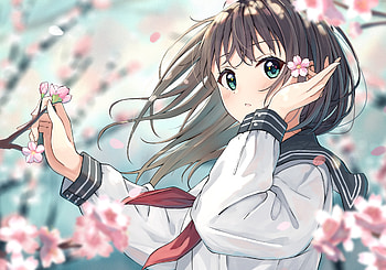 test HD wallpaper