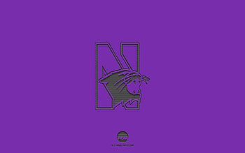 Northwestern Wildcats, purple background, American football team, Northwestern Wildcats emblem, NCAA, Illinois, USA, American football, Northwestern Wildcats logo HD wallpaper